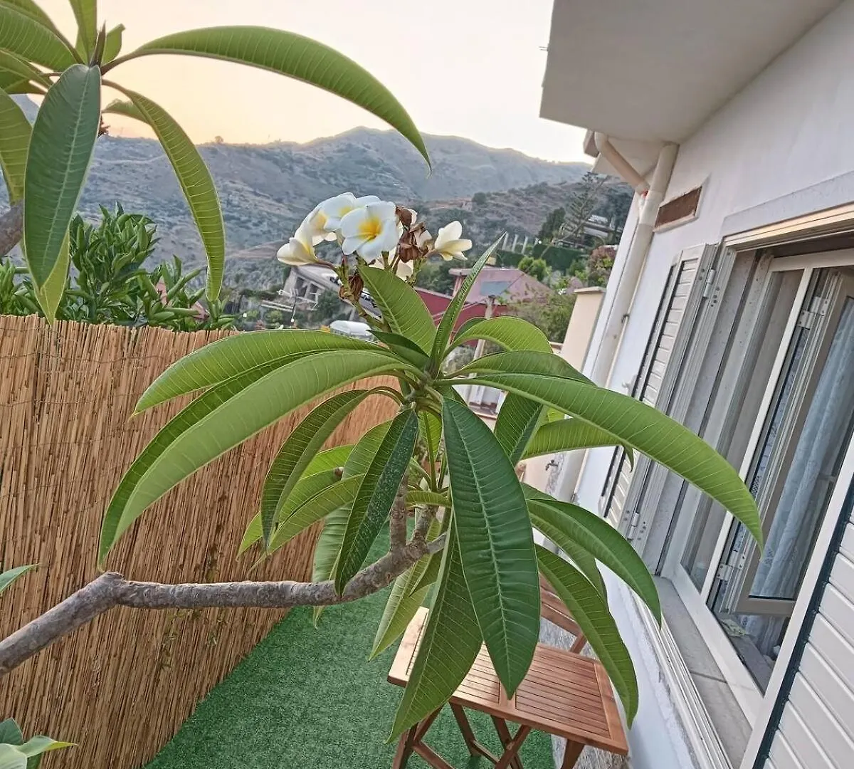 Holiday Room 